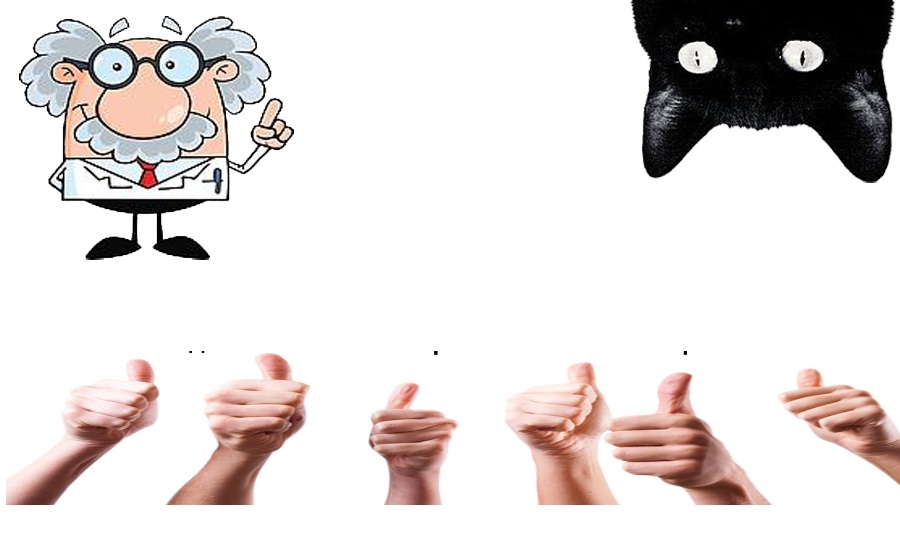 Моя коммуник деятельность