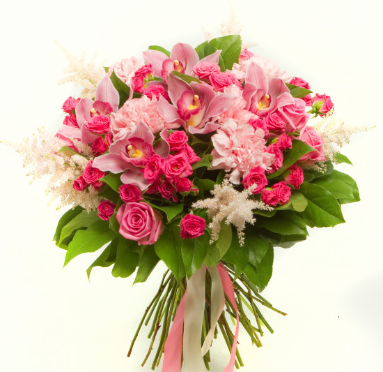 pozdravlenie startap grant 01