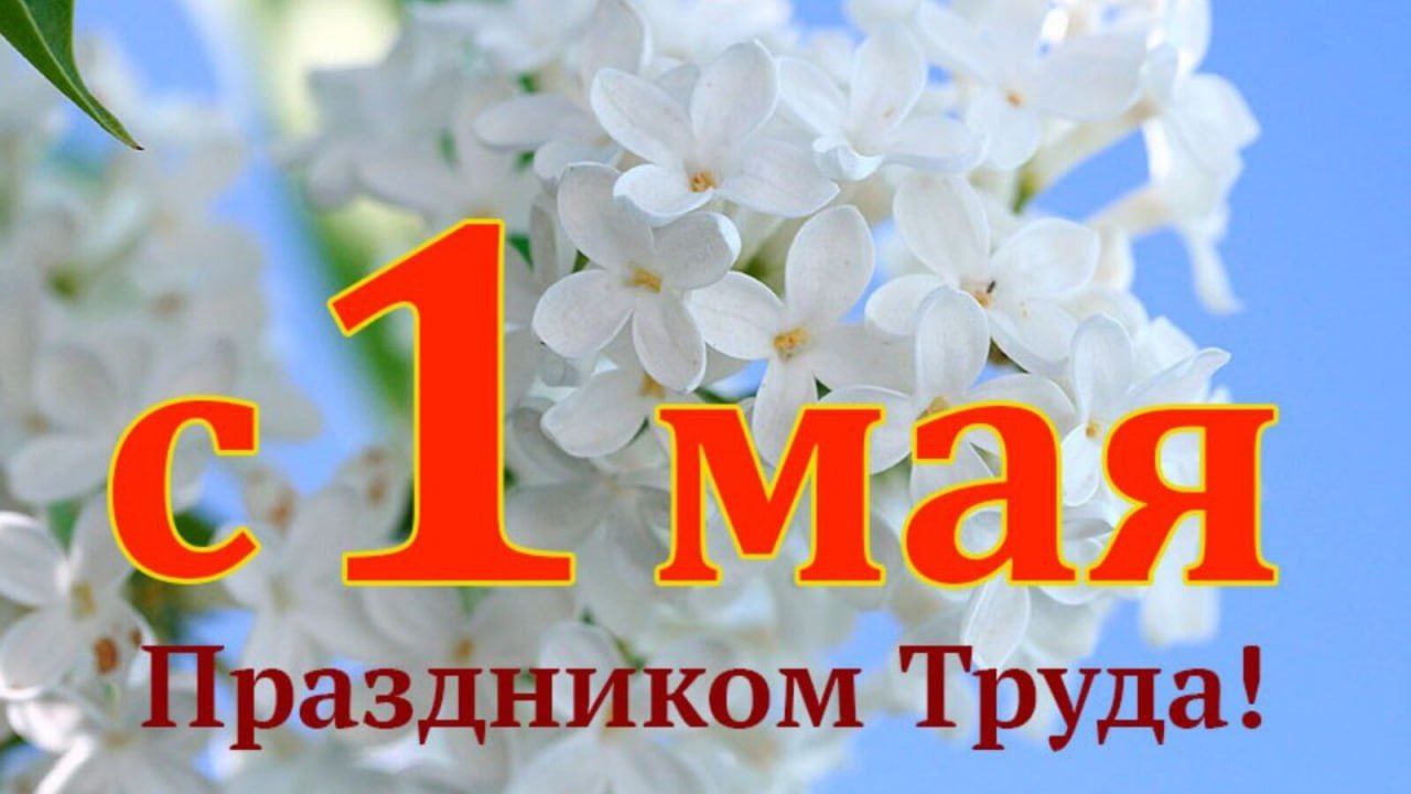 1may