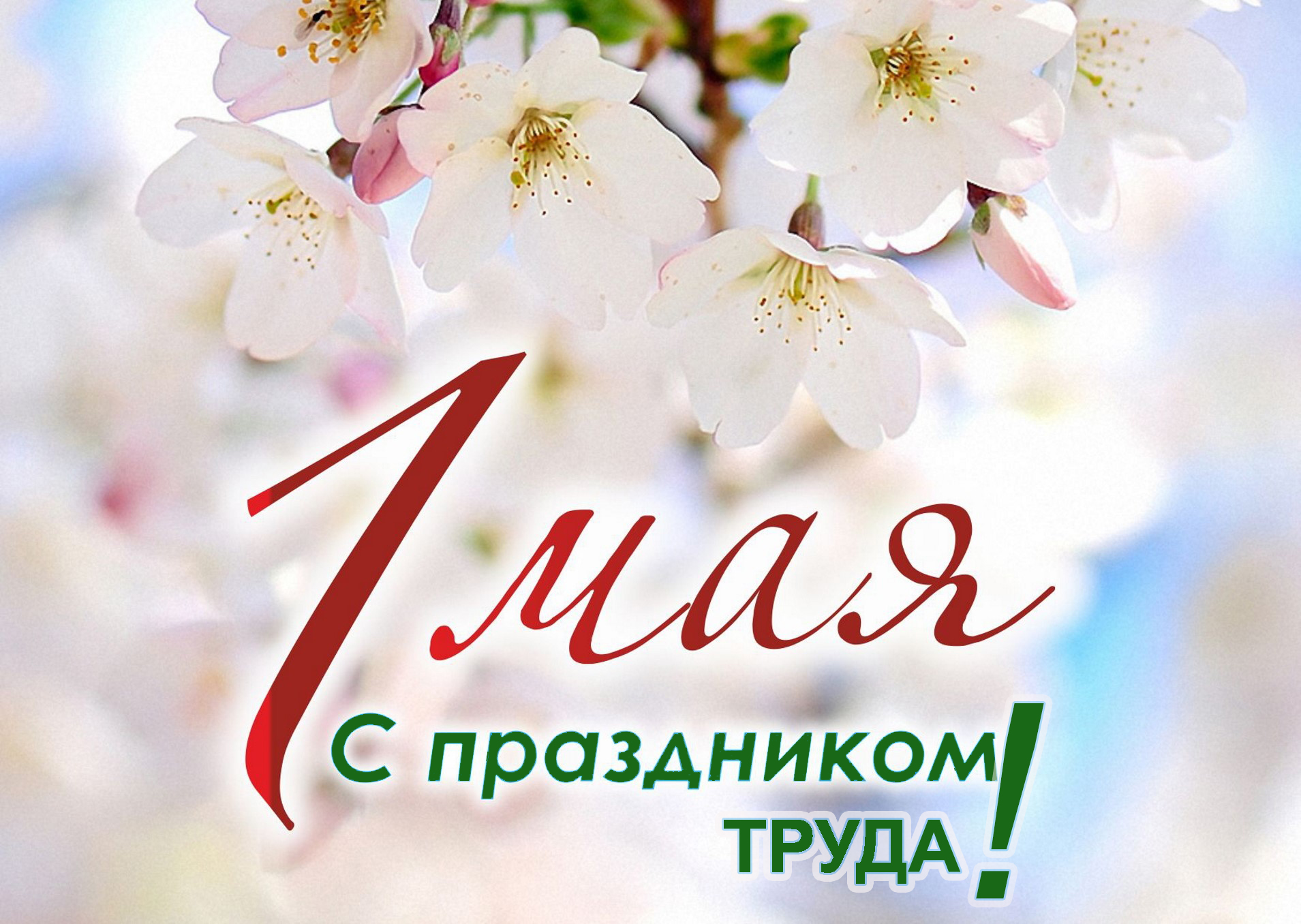 first may