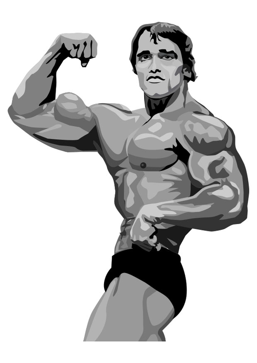 arnold schwarzenegger