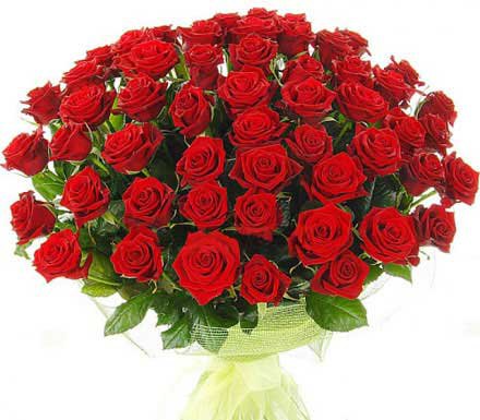 pozdravlenie year scienc