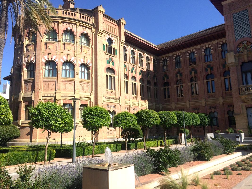 университет2