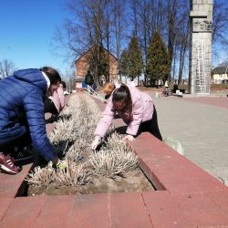 blagoustroistvo pamytnika 05