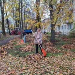 blagoustroystvo goroda 003