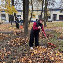 blagoustroystvo goroda 004