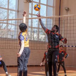 chempionat po voleybolu 05