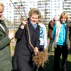 days of faculties 12