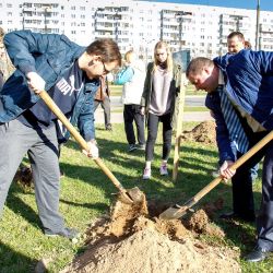 days of faculties 13