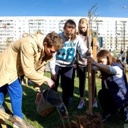 days of faculties 14