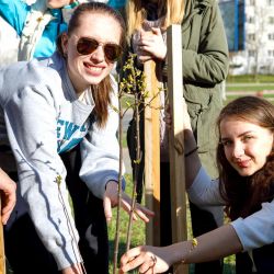 days of faculties 15