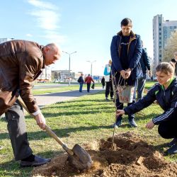 days of faculties 16