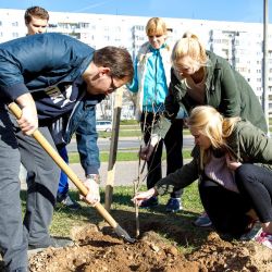 days of faculties 17