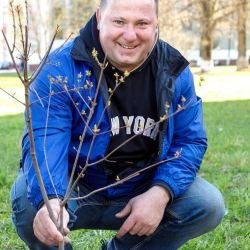 days of faculties 18