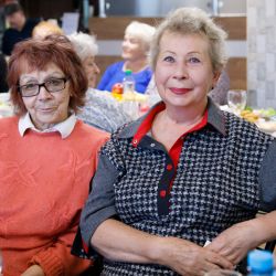 den pozhilykh lyudey 08