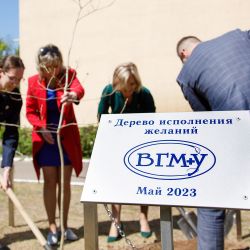 derevo ispolneniya zhelaniy 03