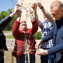 derevo ispolneniya zhelaniy 08