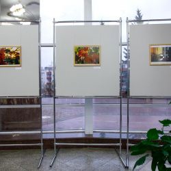 exhibition Romanovich. A 06