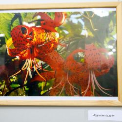 exhibition Romanovich. A 08