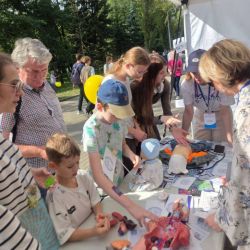 festival profesiy 06