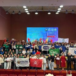 festival volunteer teams 06