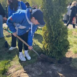 festival volunteer teams 07