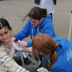 first aid olympiads 04