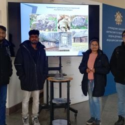 five temples five destinies 04