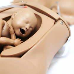 fotogallereya centra04