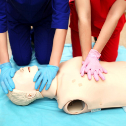 fotogallereya centra14