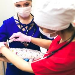 fotogallereya centra22