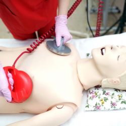 fotogallereya centra25