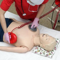 fotogallereya centra26