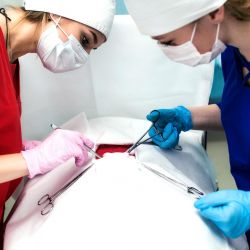 fotogallereya centra34