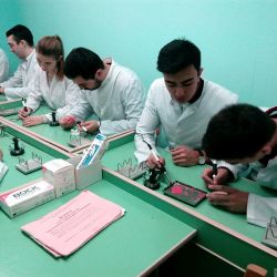 general dentistry 26