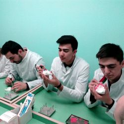 general dentistry 33