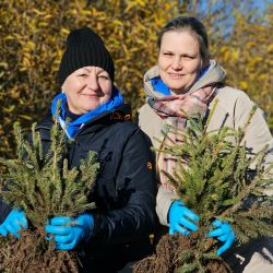 give forest new life 02