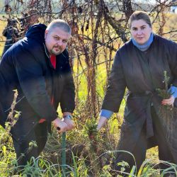 give forest new life 03