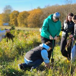 give forest new life 05