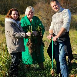 give forest new life 07