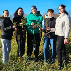 give forest new life 08