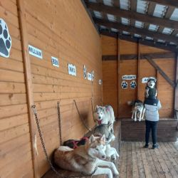 istoriyu vmeste s profsoyuzami 02