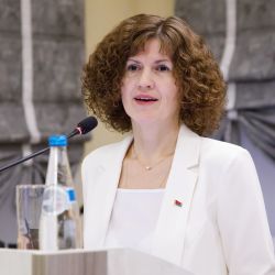 konf brush polast 04