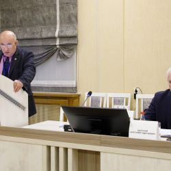 konf brush polast 10