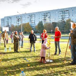 maples for friendship alley 07