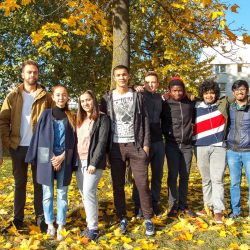 maples for friendship alley 08