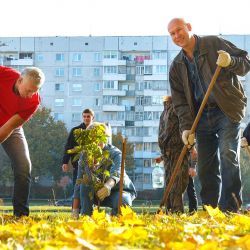 maples for friendship alley 11