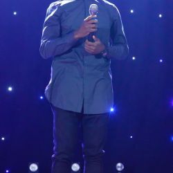 melofon fotootchet 19