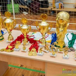 mini football fpig 03