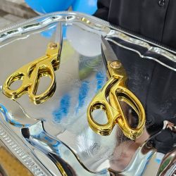 novaya glava v stom 07